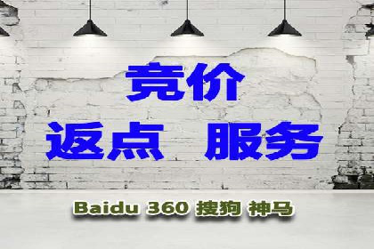 竞价推广公司的策略布局：某行业领导品牌的成功案例
